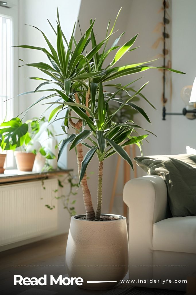 Incorporate Indoor Plants
