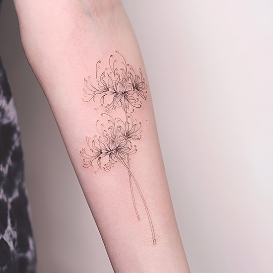 Minimalist Black Ink Spider Lily