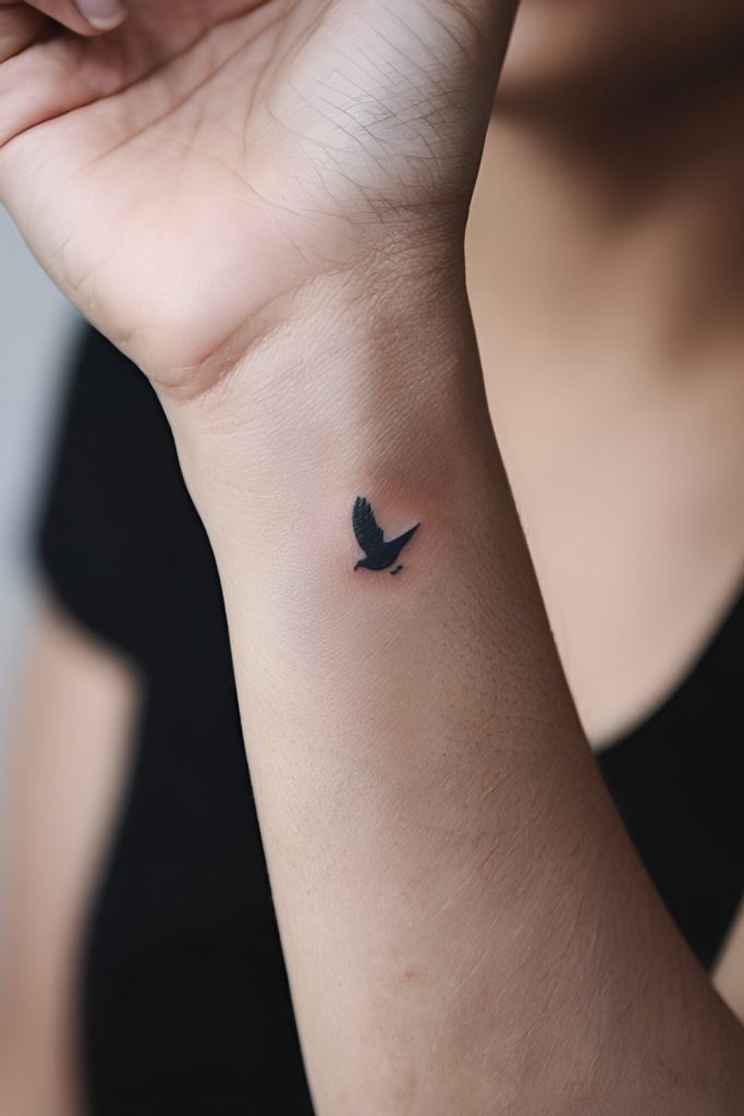 Silhouette of a Bird