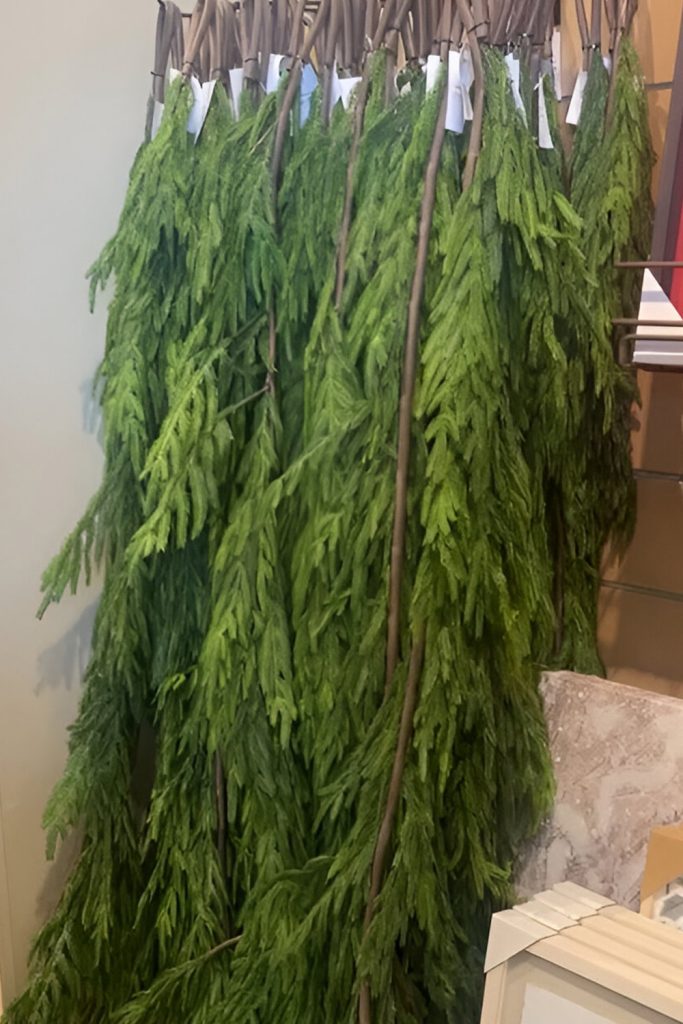Start with Seasonal Greenery