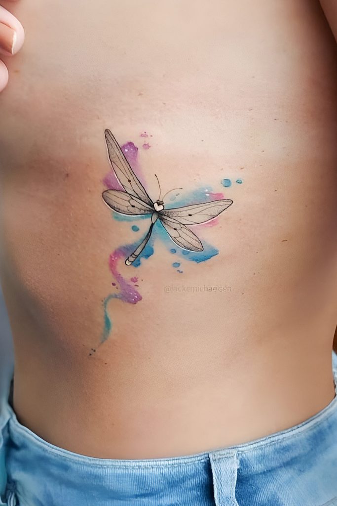 Colorful Dragonfly