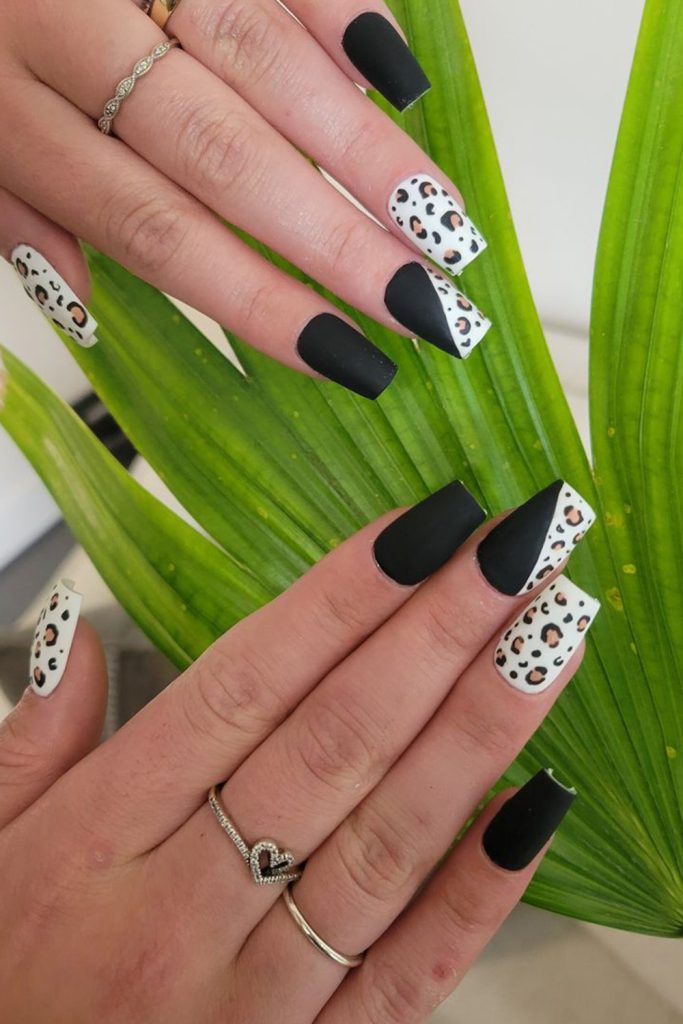 Black with Animal Print An animal maltss