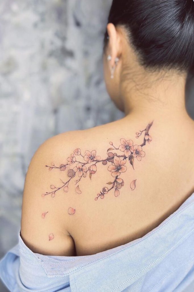 Cherry Blossom Branch