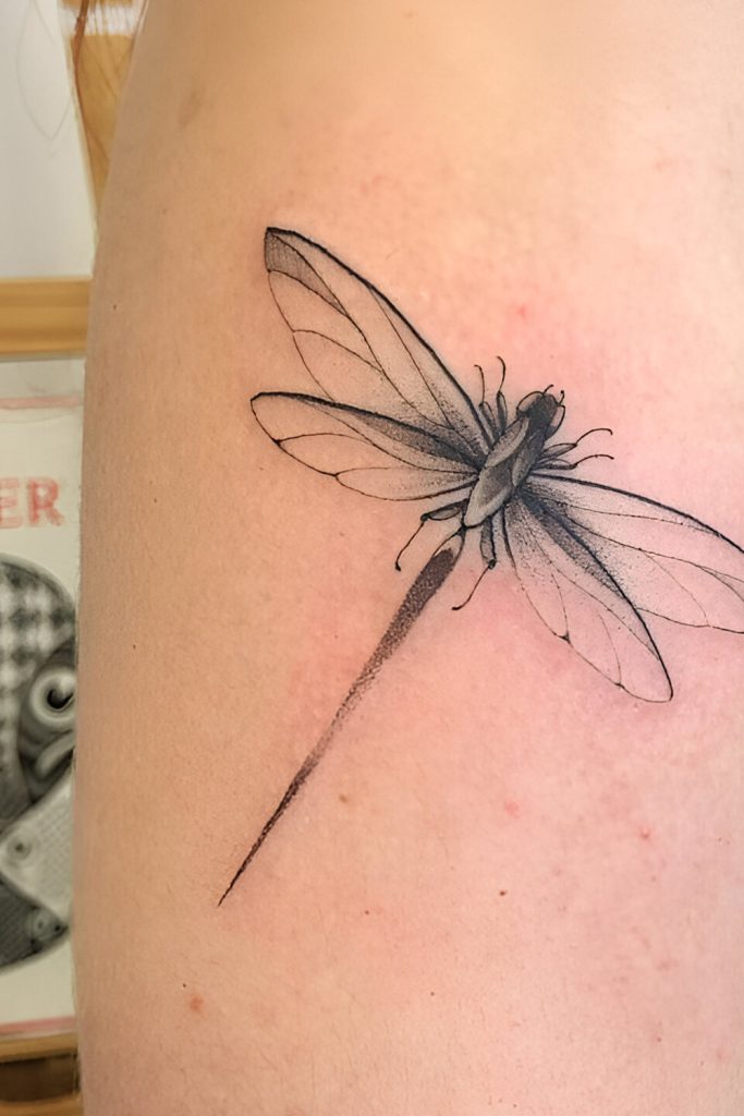 Dragonfly Tattoos