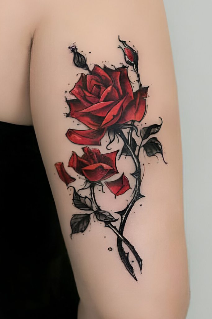 Rose and Thorns