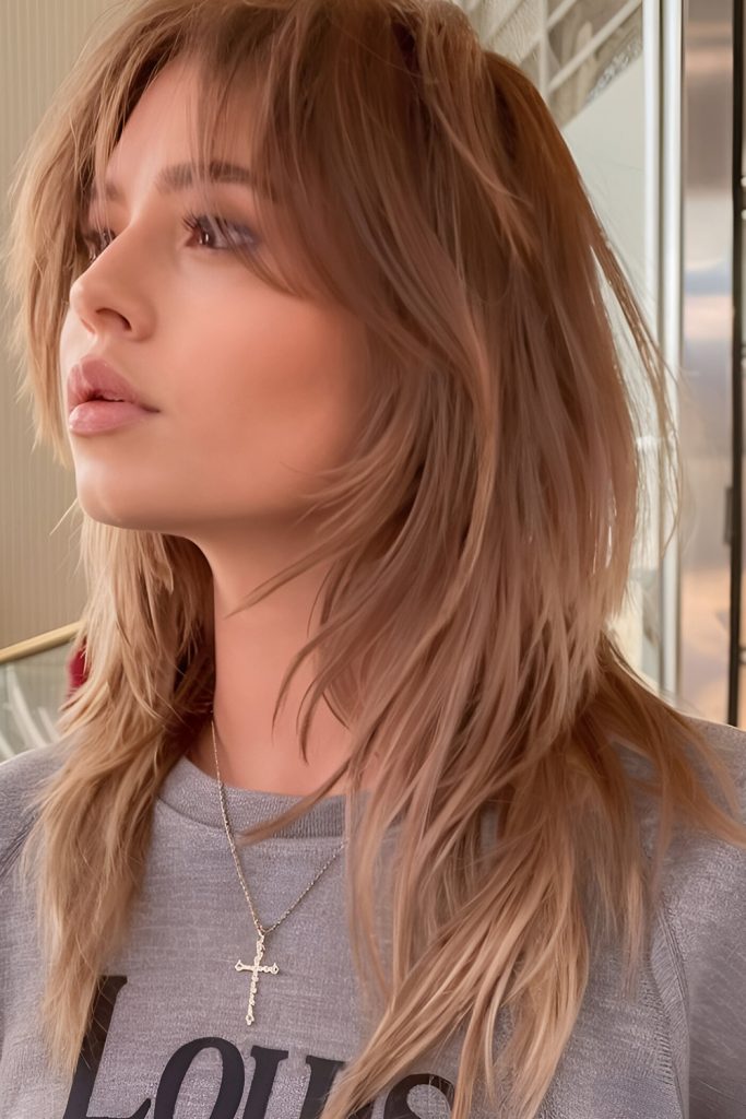 Wolf Cut with Soft Highlights and Low Lights