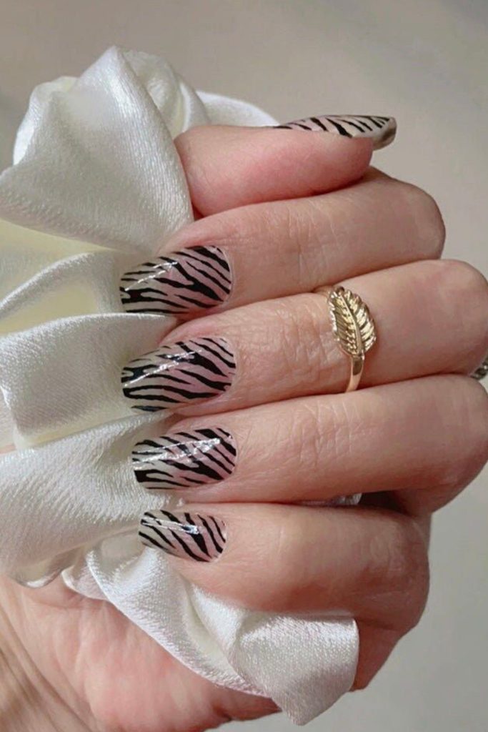 Zebra Glam