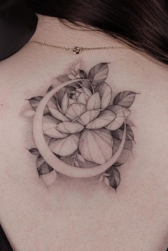 Rose Contour