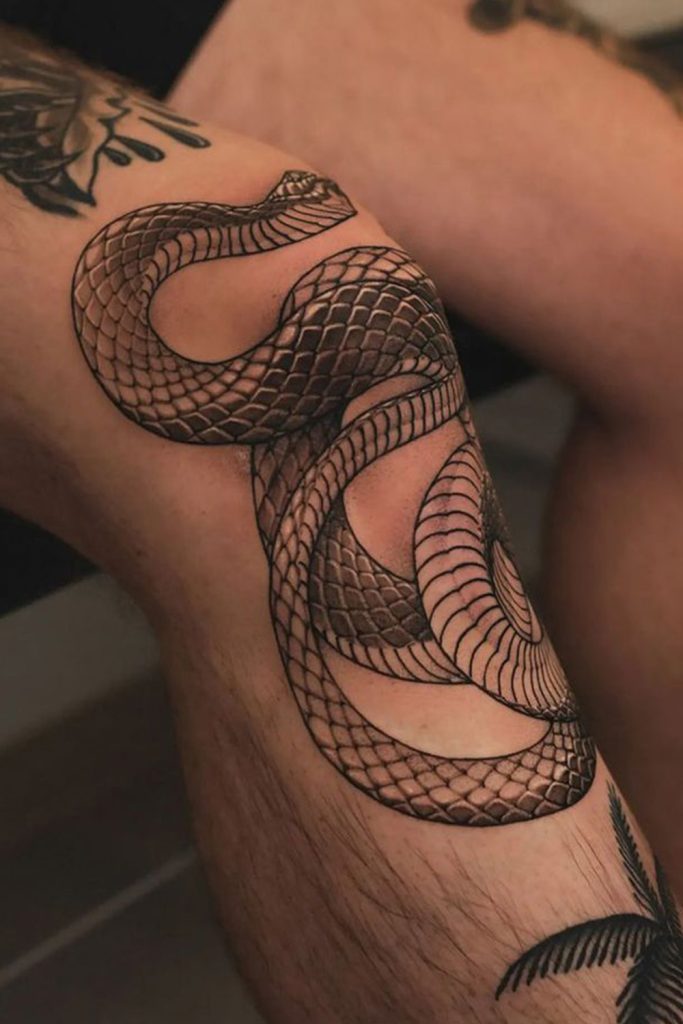 Snake Coiling Around the Knee