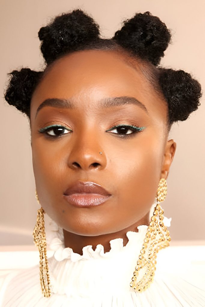 Bantu Knot Out Cut