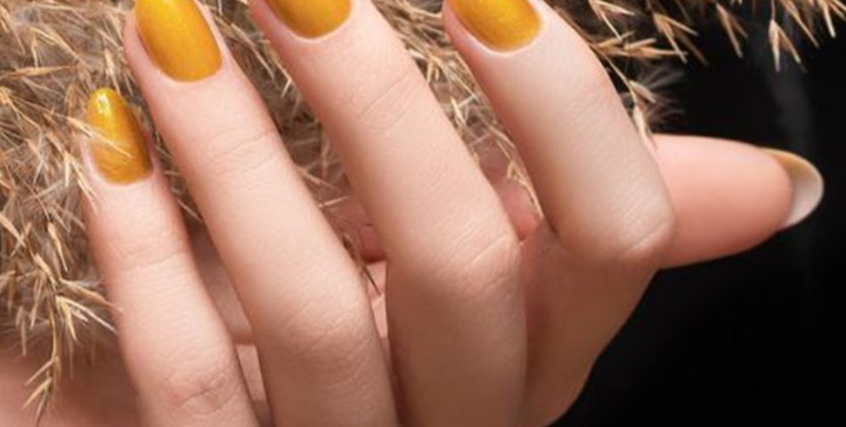 Sunshine Yellow Bright, Bold, and Perfect for Spring
