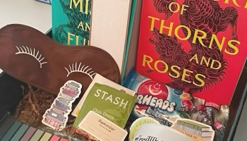 Curl Up with Comfort The Bookworm's Basket