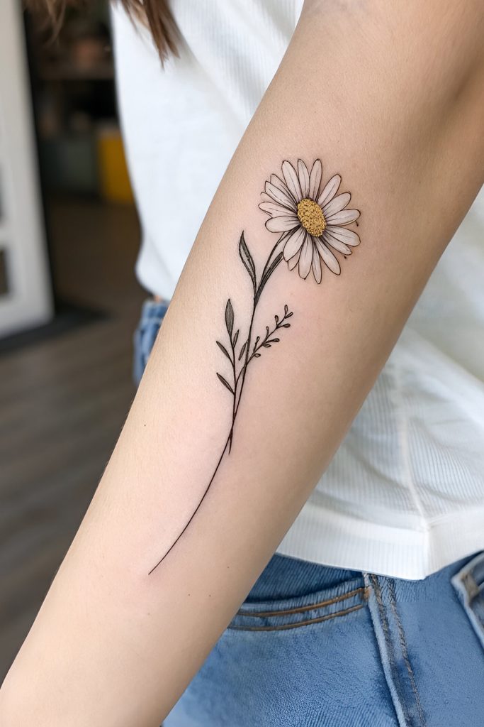 Daisies A Touch of Innocence and Joy