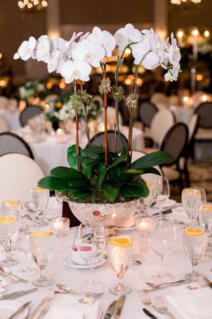 Elegant Orchid Centerpieces for a Sophisticated Look