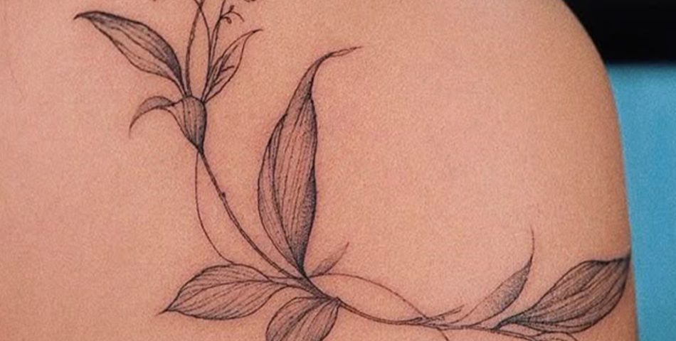 Nature's Masterpiece What Lies Beneath