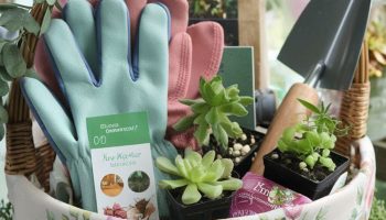 Plant a Seed of Joy with a Gardener's Dream Basket