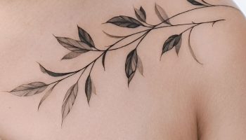 Vine and Ivy Representing Growth and Resilience