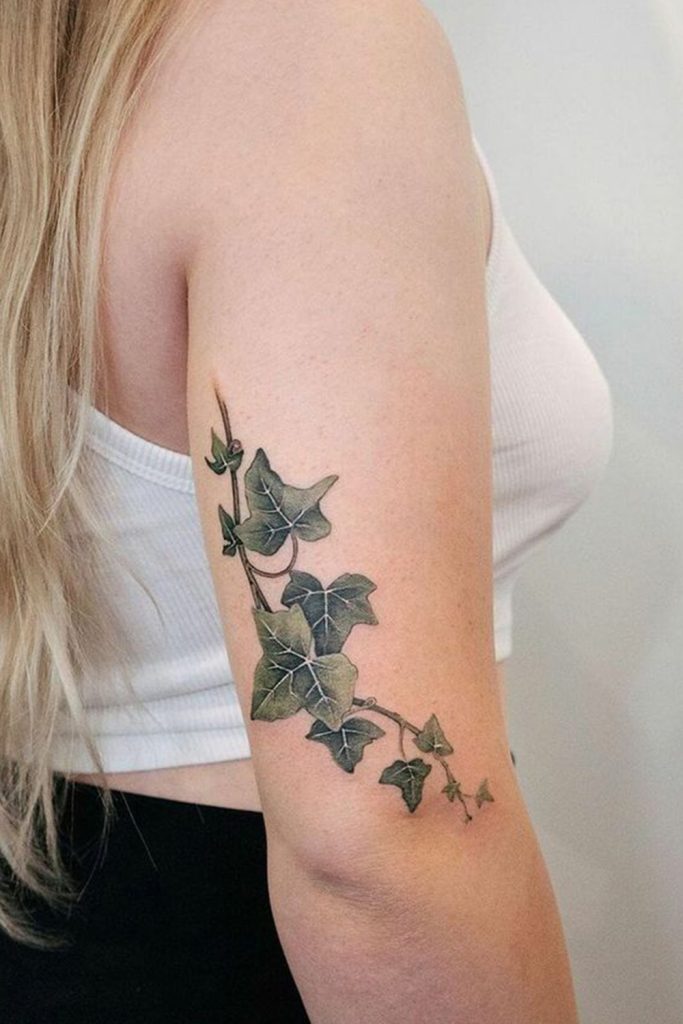 Vine and Ivy Tattoos Elegant and Perpetually Growing