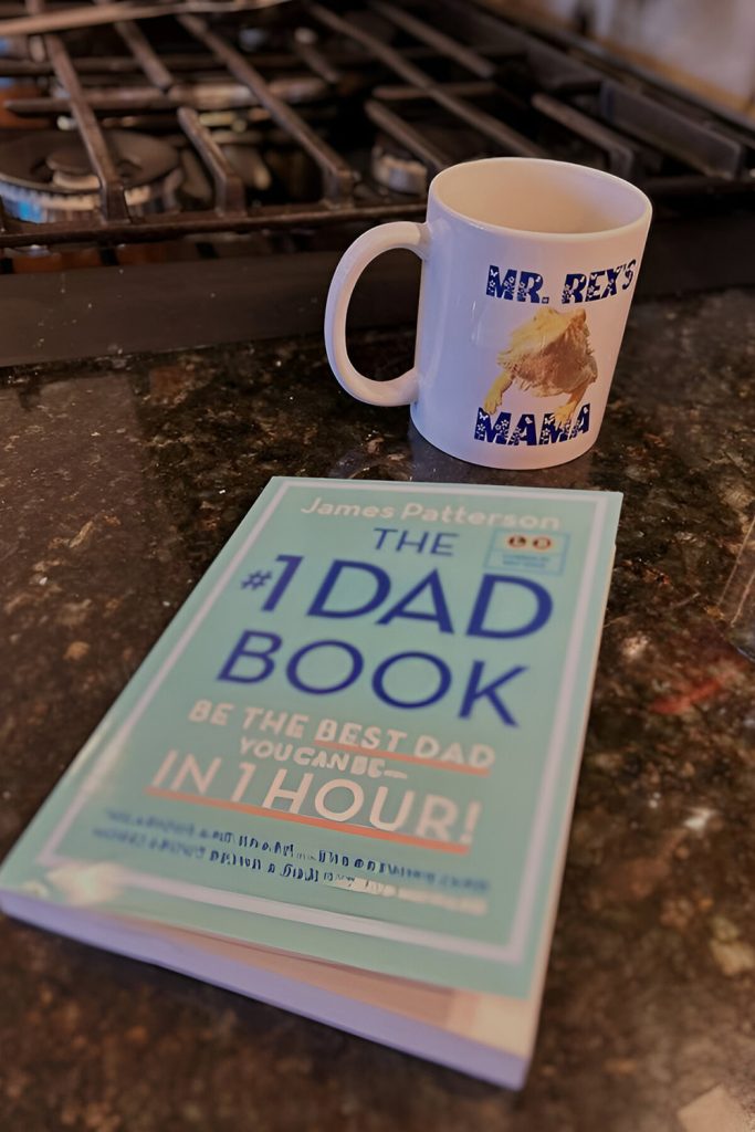 DIY Illustrated Book About. Dad has chapters such as Dad's