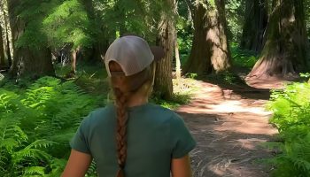 Hairstyles Cooperate with Hats and Headbands