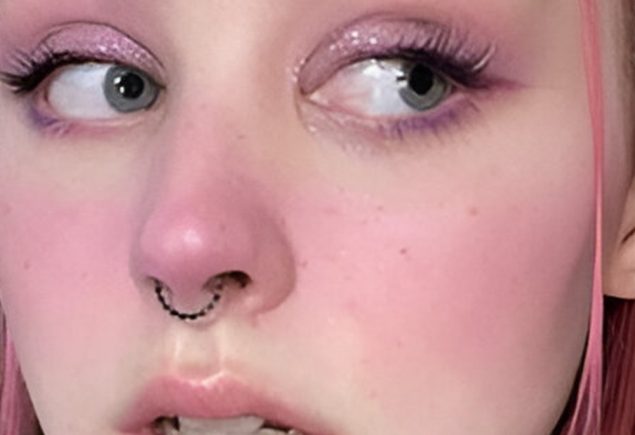 Mix Purple and Pink Blushes