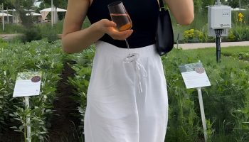 Your Classic White Tee + Wide Leg Pants