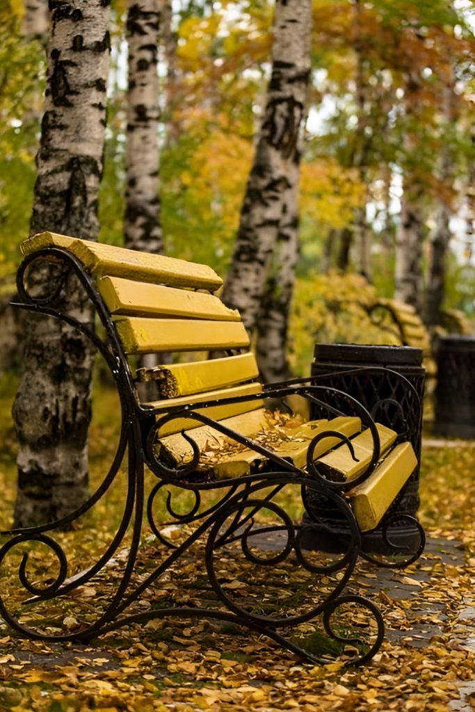 Enjoy an Afternoon of Leaf Peeping in Nature's Vivid Hues