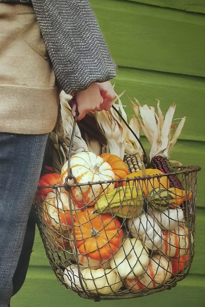 Taste the Season with Comforting, Cozy Fall Foods