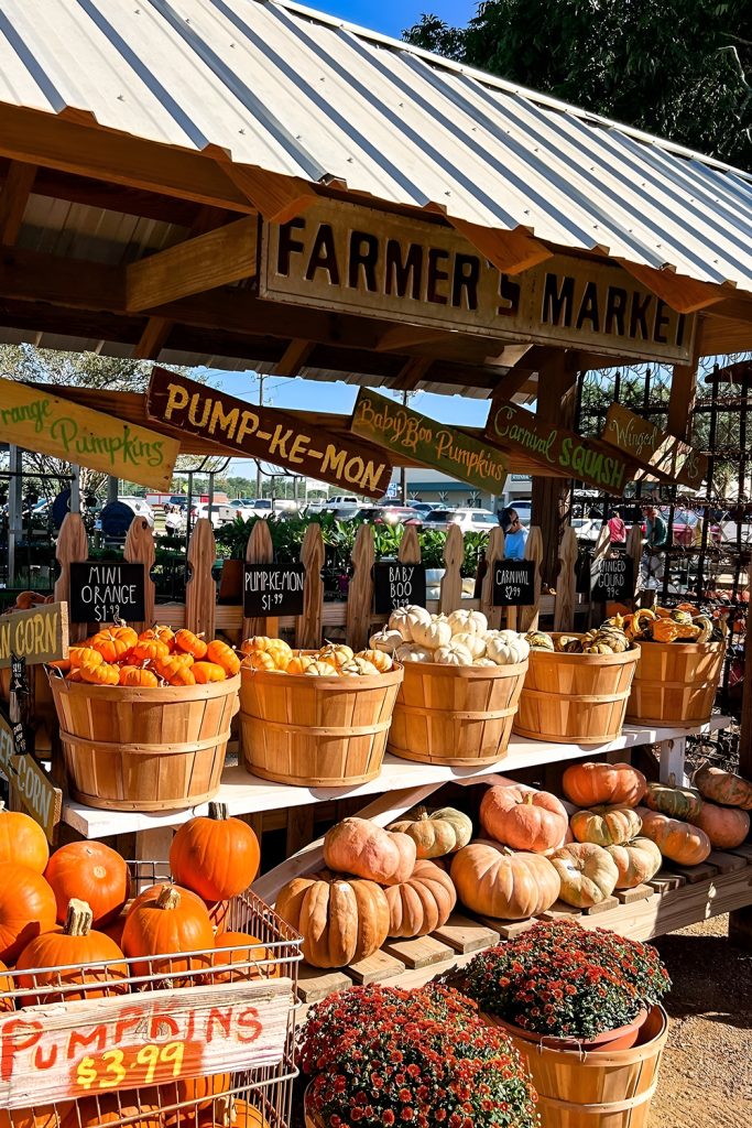 Wrap Yourself in Layers and Visit a Local Fall Festival