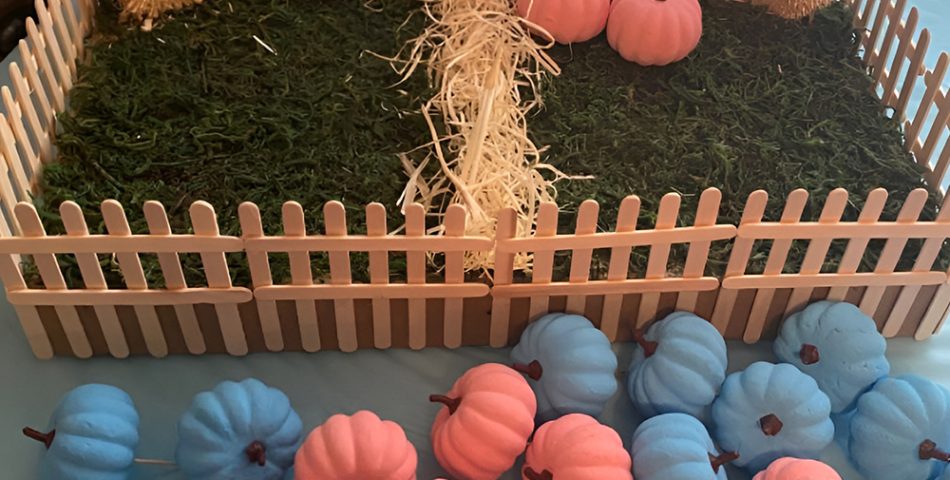 Carving a Pumpkin for a Magical Gender Surprise