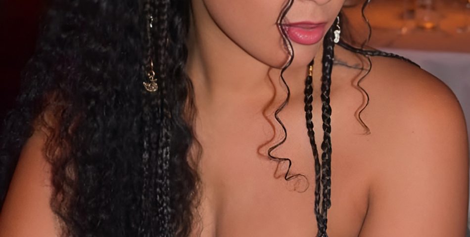 Fulani Knotless Braids with High Ponytail Elegance