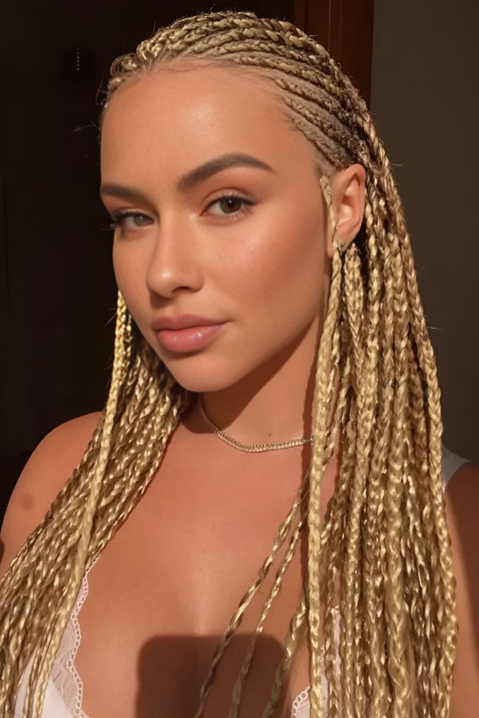 Ombre Fulani Knotless Braids for a Pop of Color