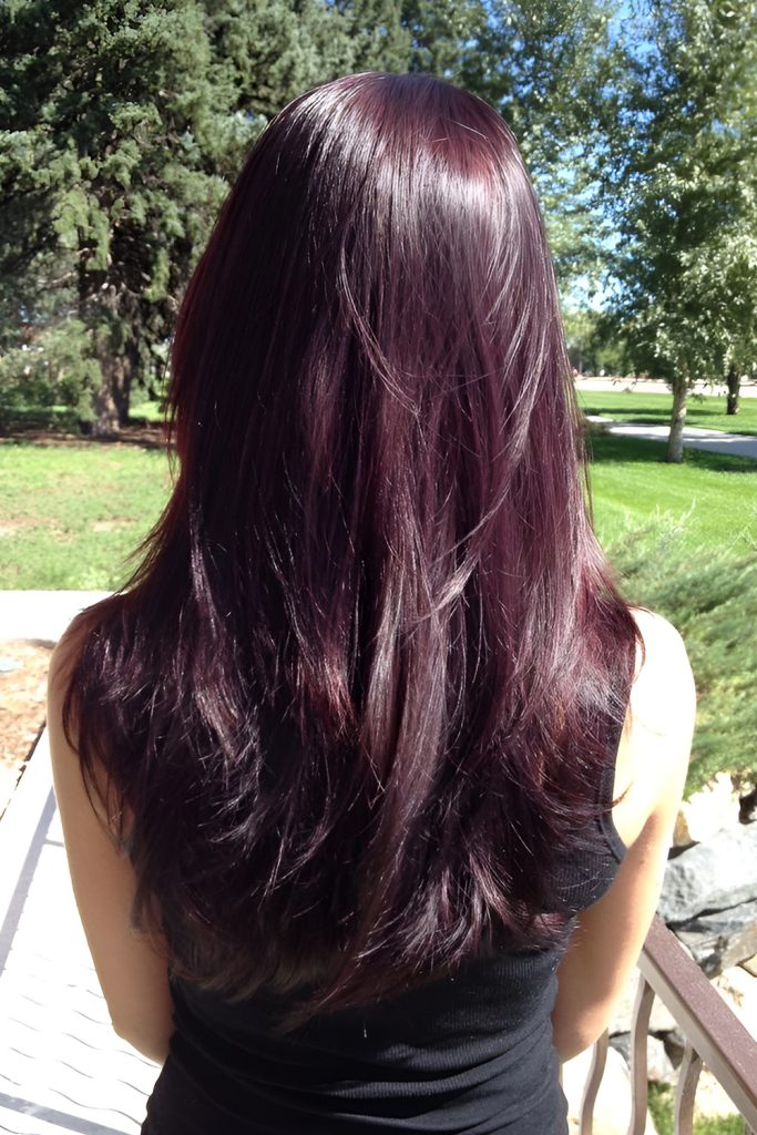 Deep Mahogany Brunette with Plum Accents