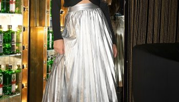 Metallic Pleated Skirt with Turtleneck Crop Top