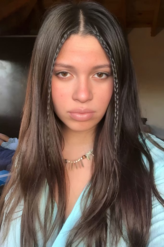 Mini Dutch Braids Framing the Face