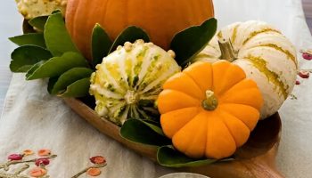 Mini Gourd Arrangements Scattered for Whimsical Fall