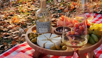 A Scenic Fall Picnic in the Park