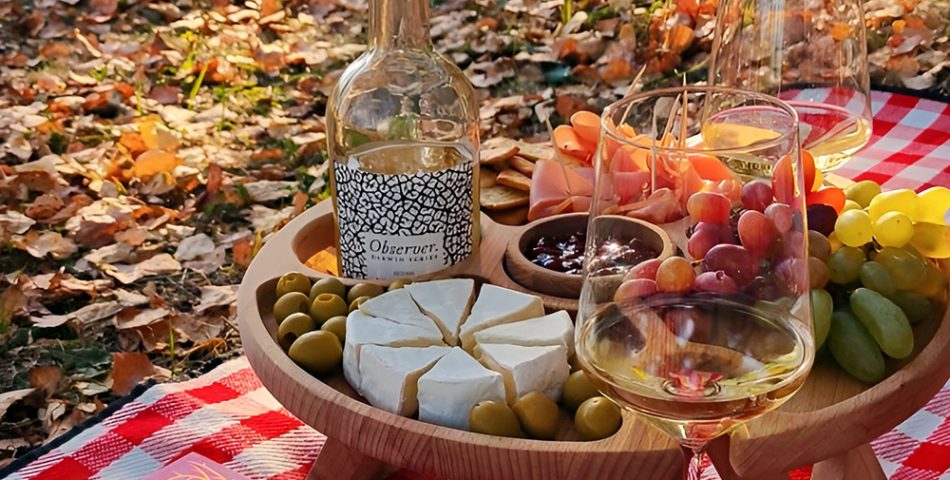 A Scenic Fall Picnic in the Park