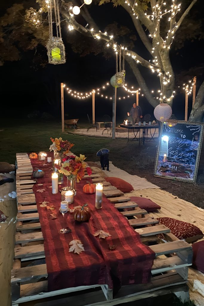 Backyard Movie or Light Up Garden Party