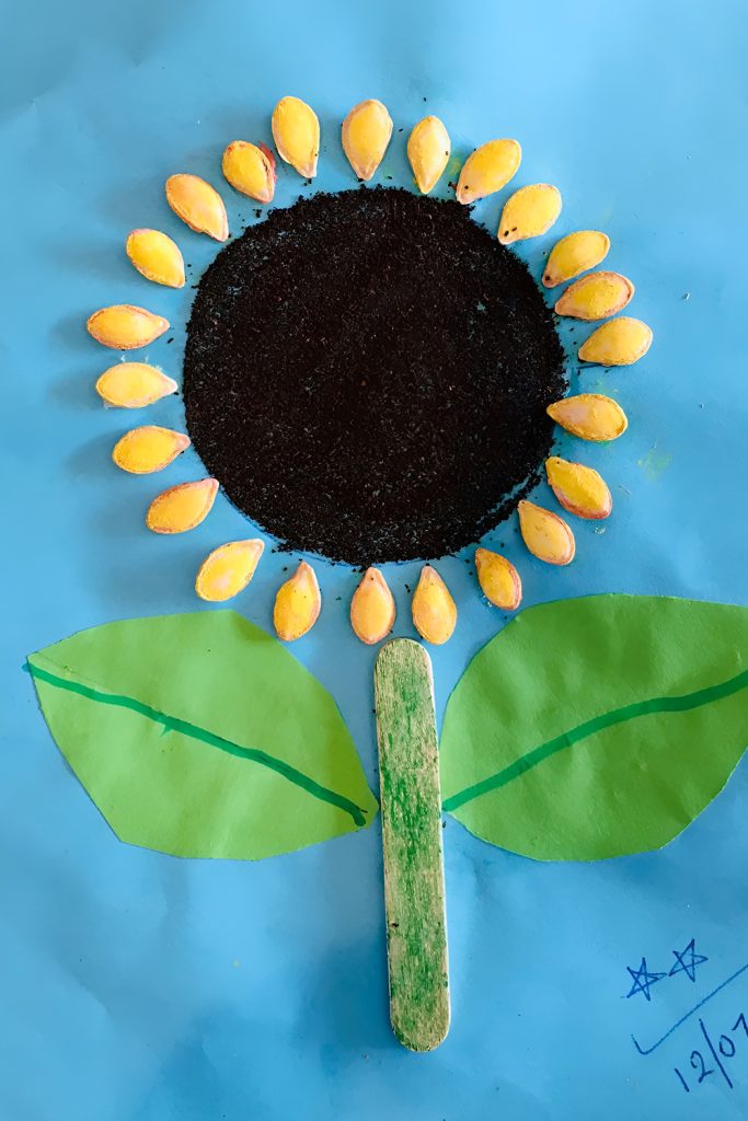 Pumpkin Seed Art with Fall Colors