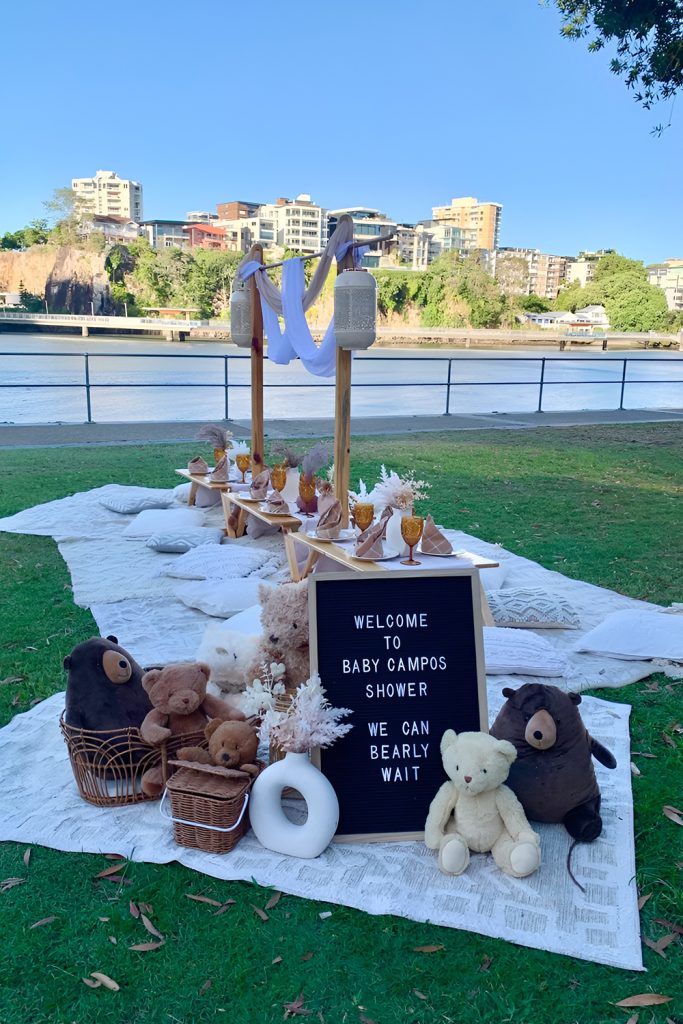 Picnic Blanket Baby Brunch