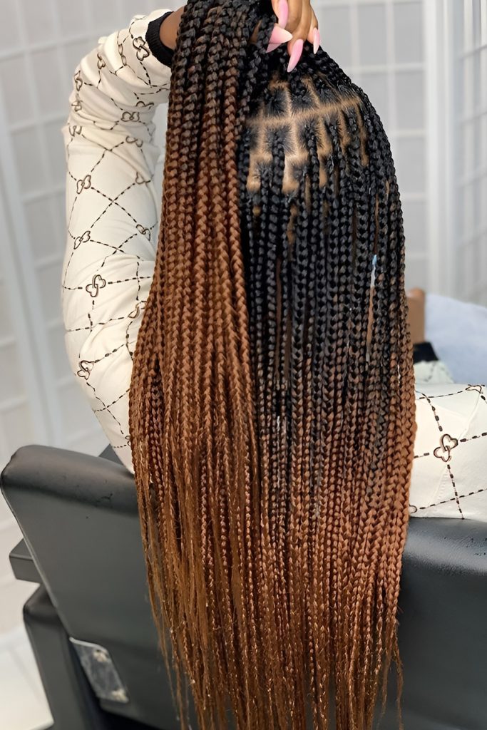 Ombre Braids Blending Colors with Smooth Transitions
