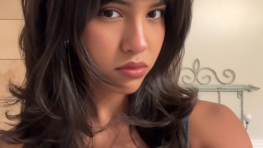 Pro Wolf Cut Adds Crown Volume Con Ends Can Look Thinner