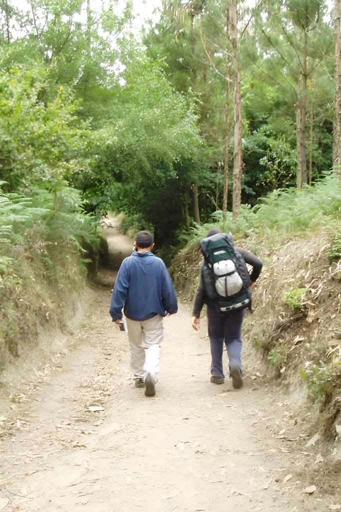 A Morning or Evening Walk