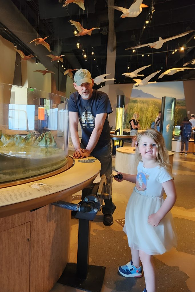 Discover Local Wonders Museums and Science Centres