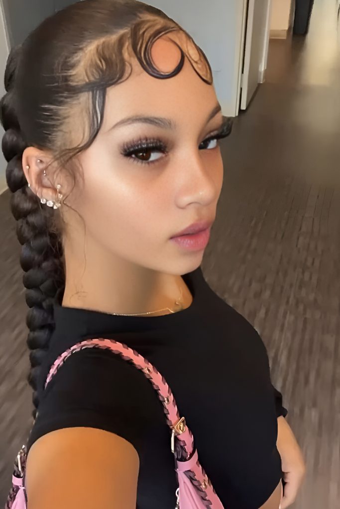 Braided High Ponytail with Clean Details and Length