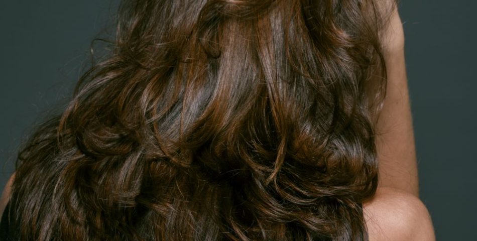 Back view of a woman with long layered tousled brunette hair, kitty cut style
