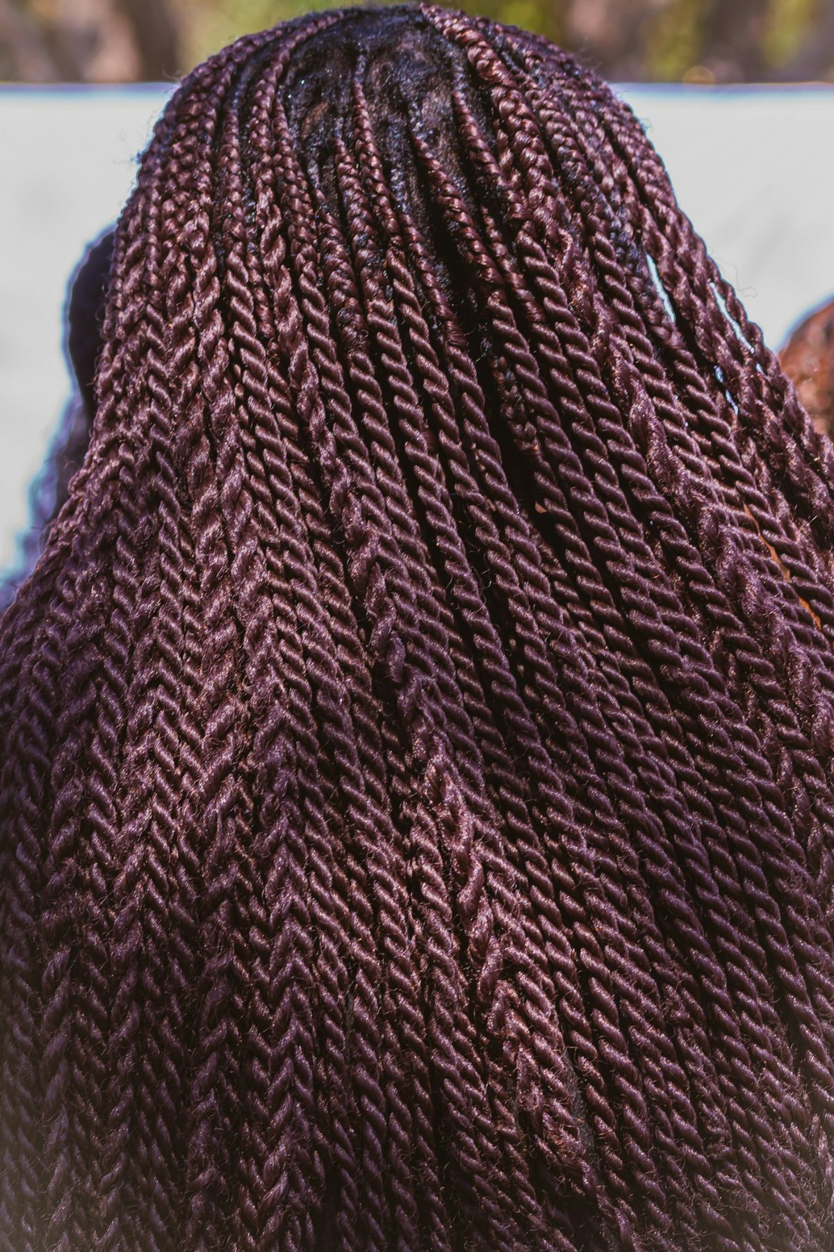 Close-up of long dark braided hair