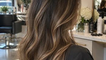 Balayage vs highlights poster comparing two hair color techniques