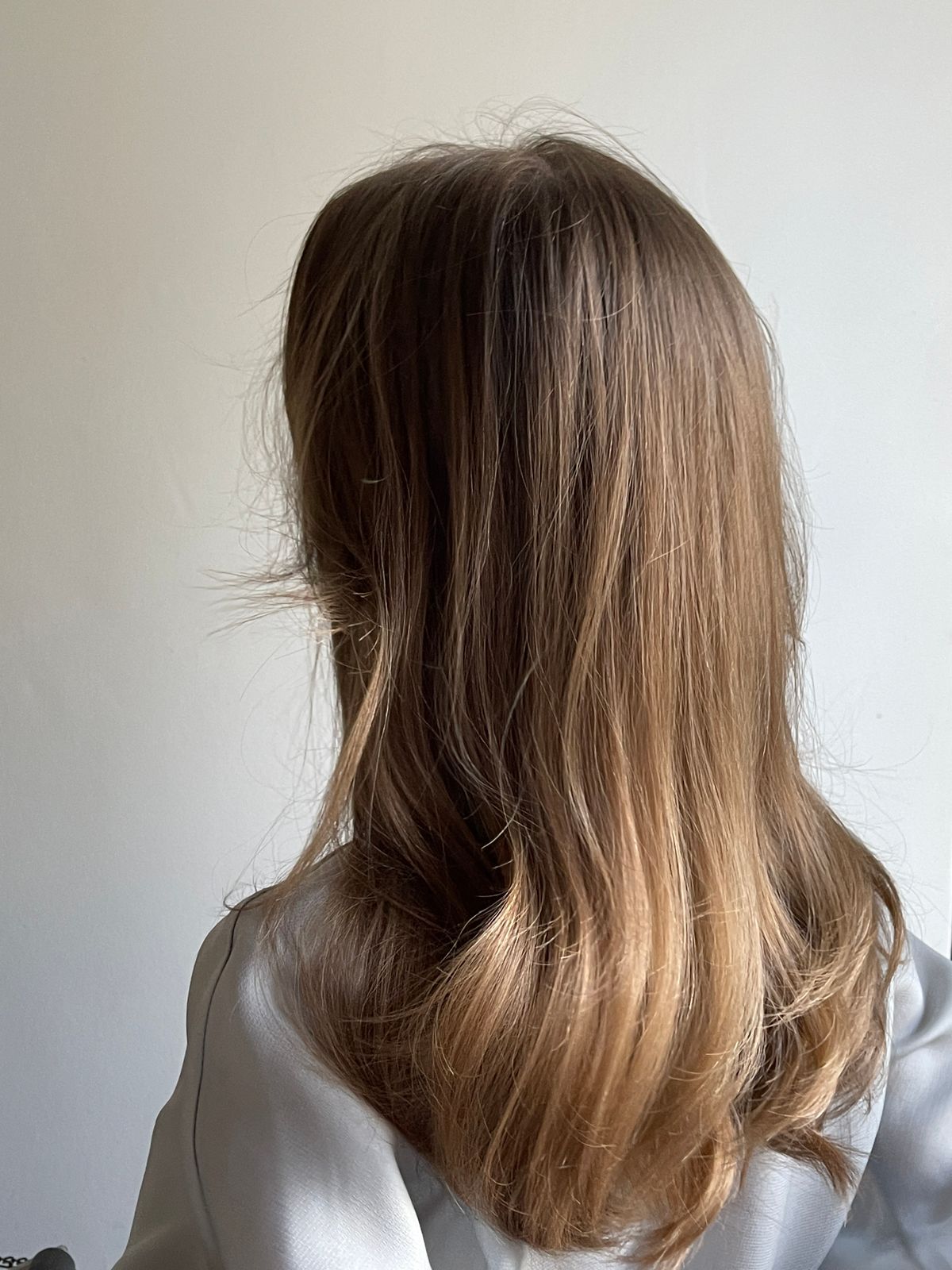Back view of long light brown hair with soft, natural ends against a pale grey wall